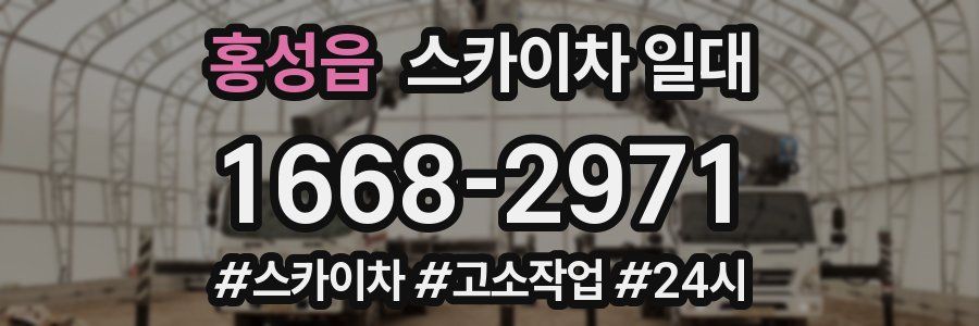 홍성읍 스카이차 일대