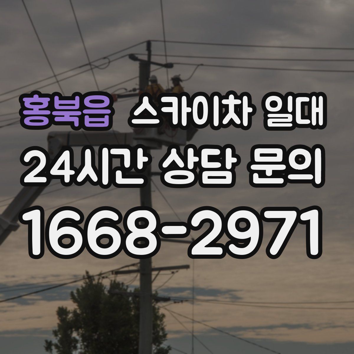 홍북읍 스카이차 일대