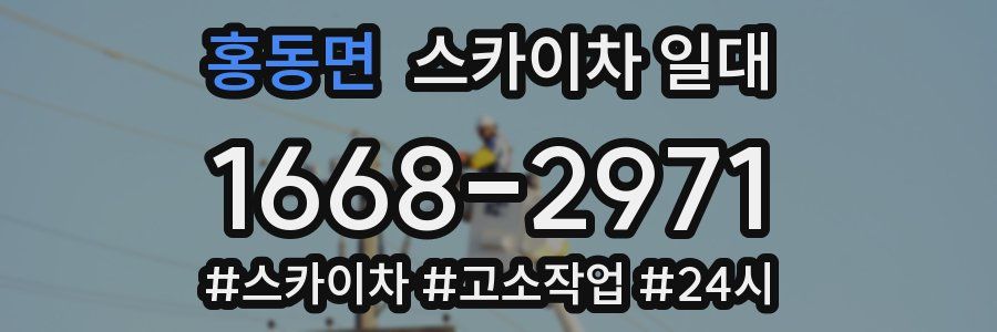 홍동면 스카이차 일대