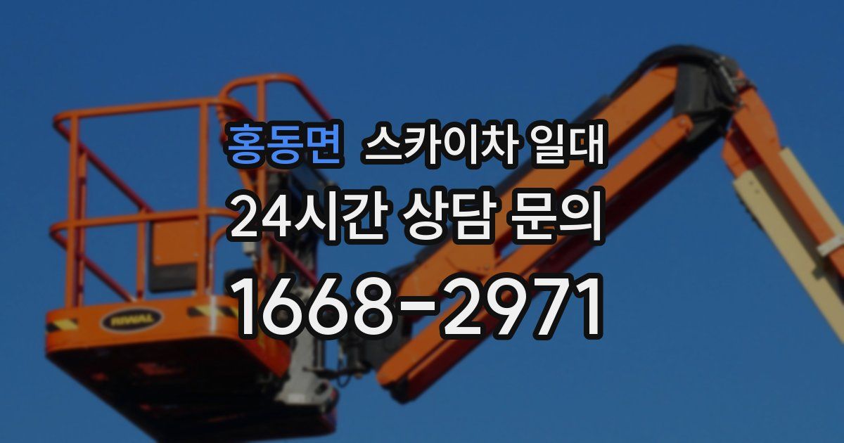 홍동면 스카이차 일대