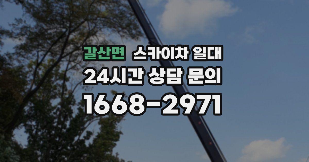 갈산면 스카이차 일대