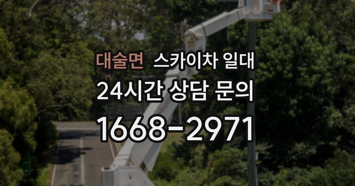 대술면 스카이차 일대