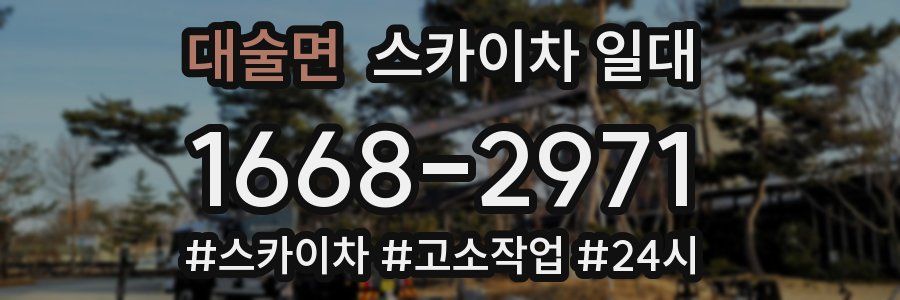 대술면 스카이차 일대