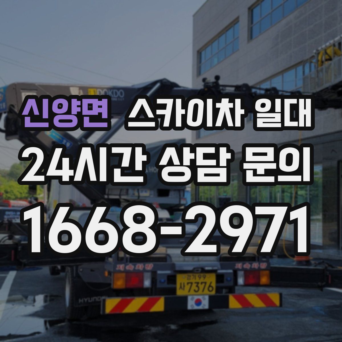 신양면 스카이차 일대