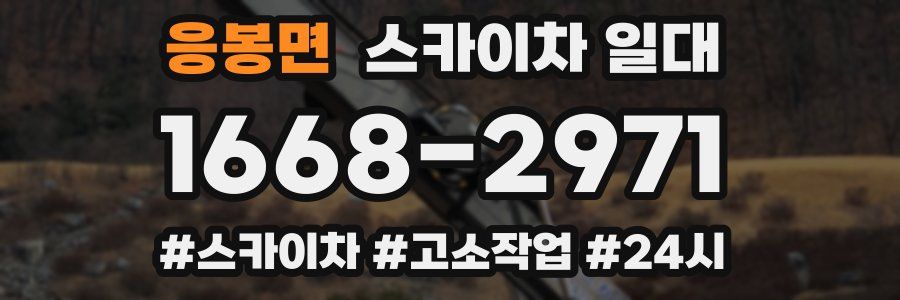 응봉면 스카이차 일대