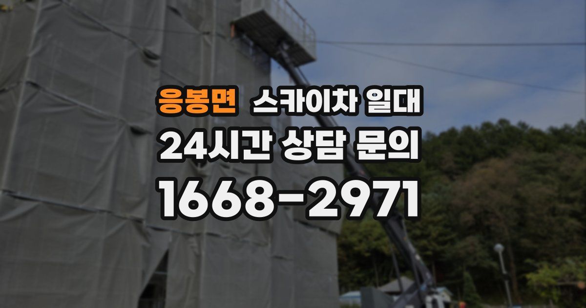 응봉면 스카이차 일대
