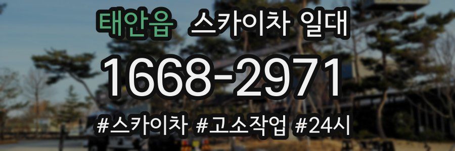 태안읍 스카이차 일대
