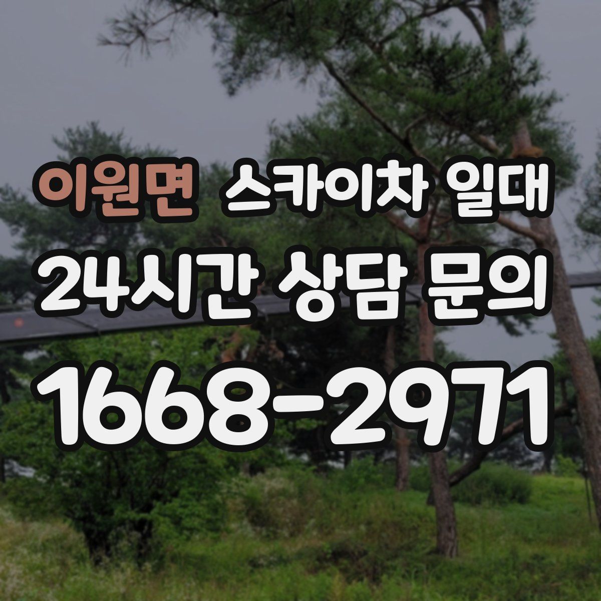 이원면 스카이차 일대