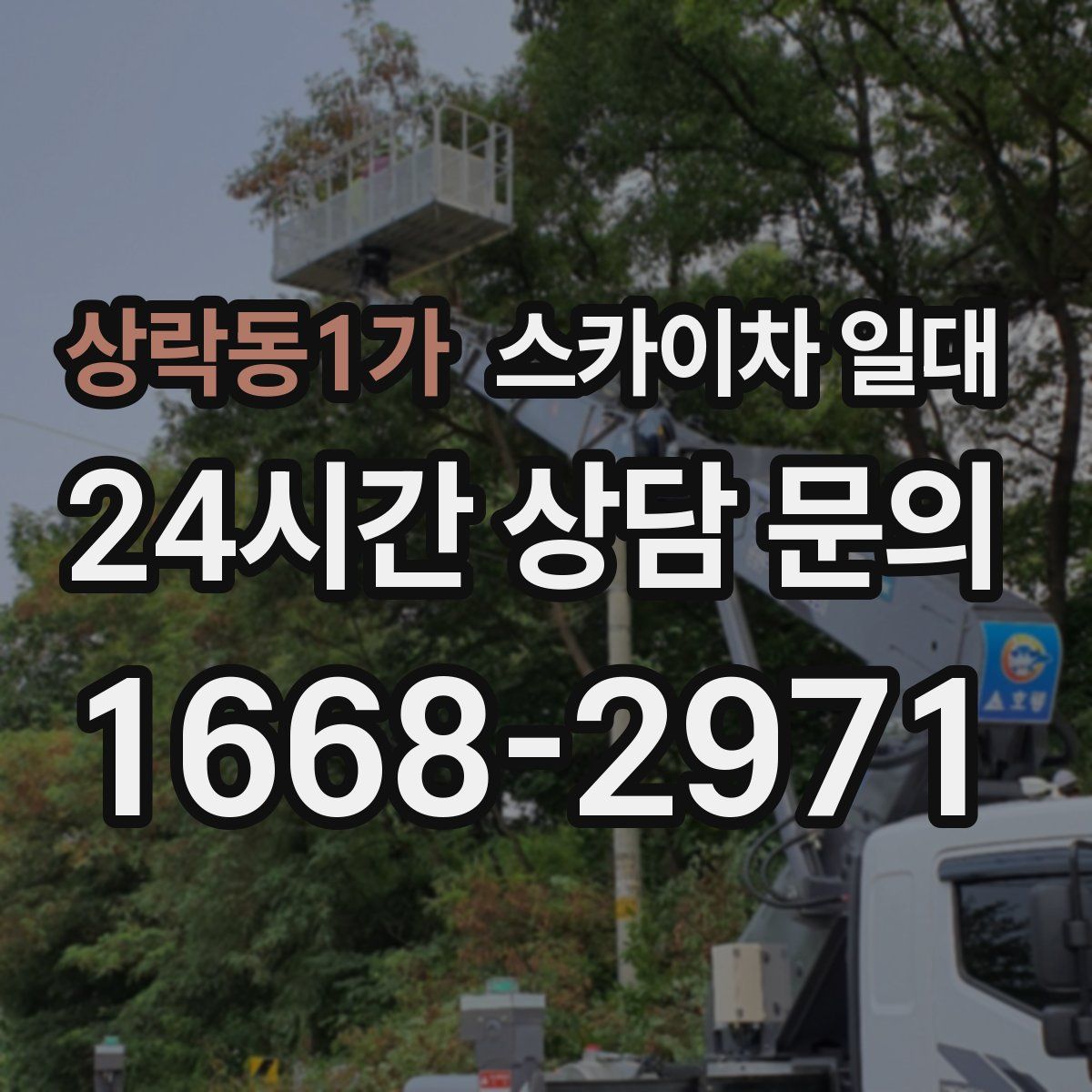 상락동1가 스카이차 일대