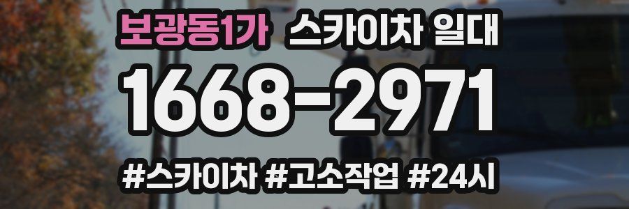 보광동1가 스카이차 일대
