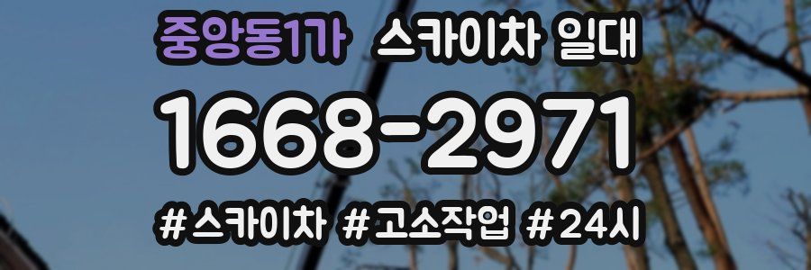중앙동1가 스카이차 일대