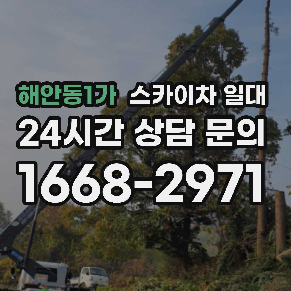 해안동1가 스카이차 일대