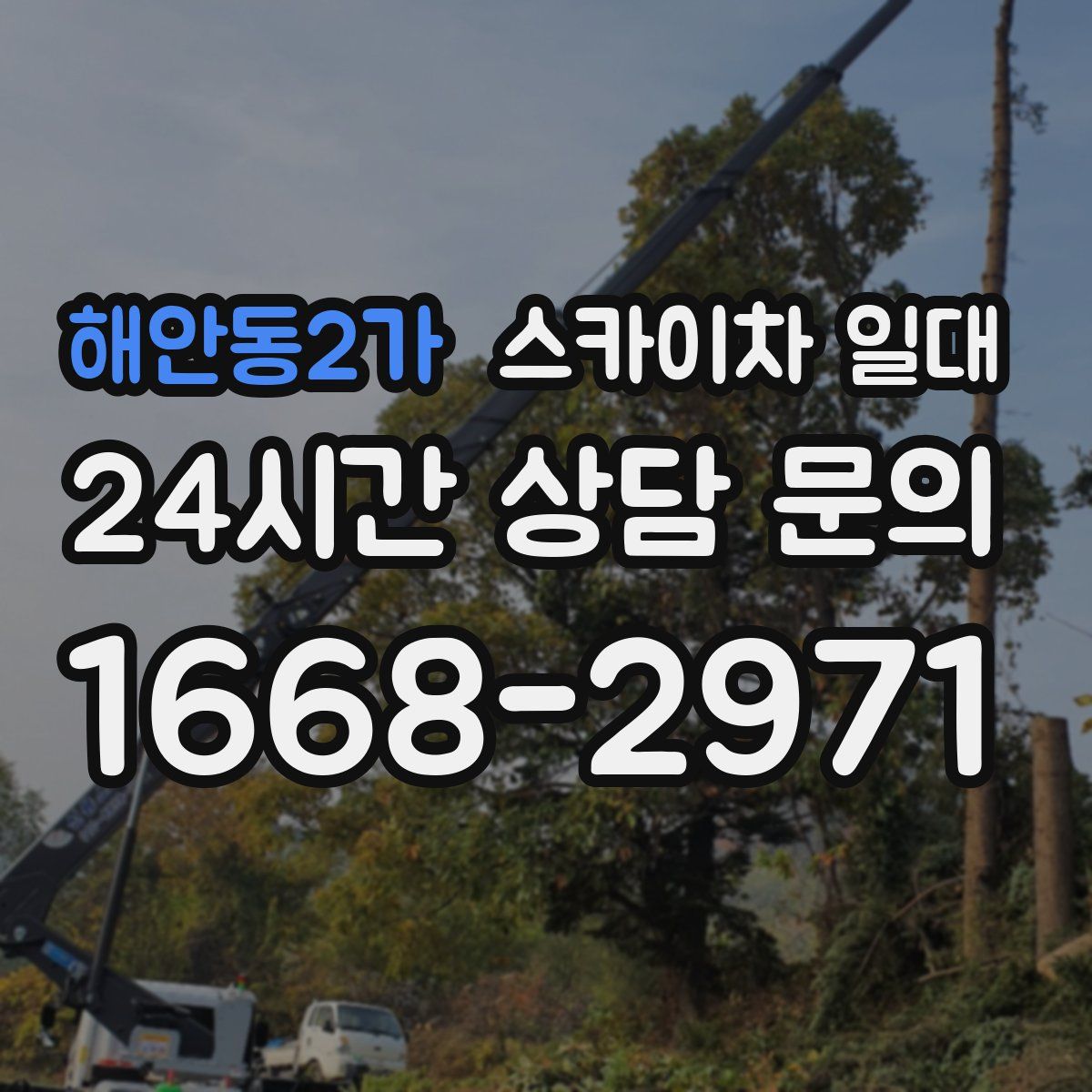 해안동2가 스카이차 일대
