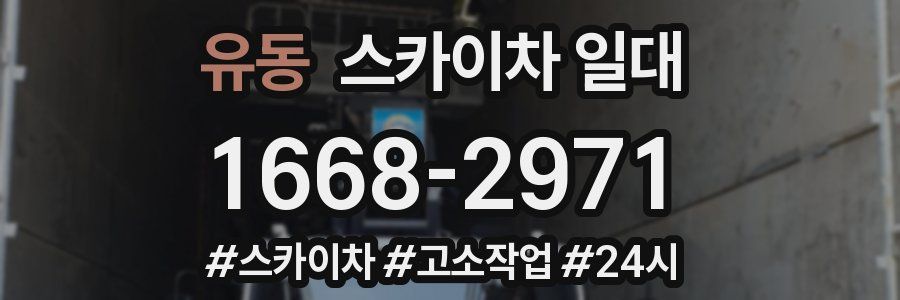 유동 스카이차 일대