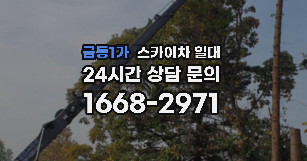 금동1가 스카이차 일대