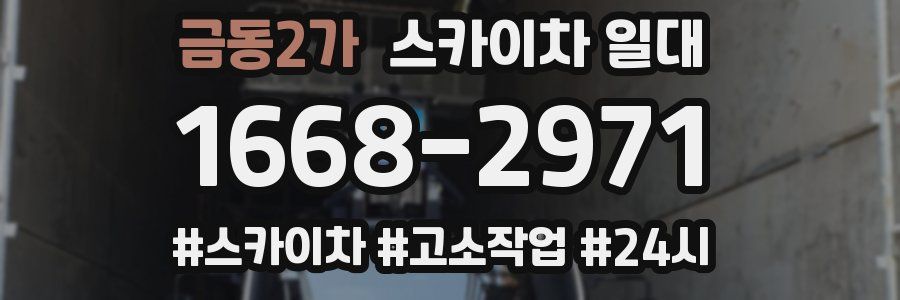 금동2가 스카이차 일대