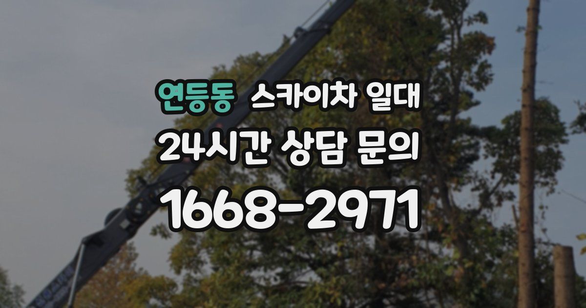 연등동 스카이차 일대