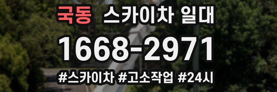 국동 스카이차 일대