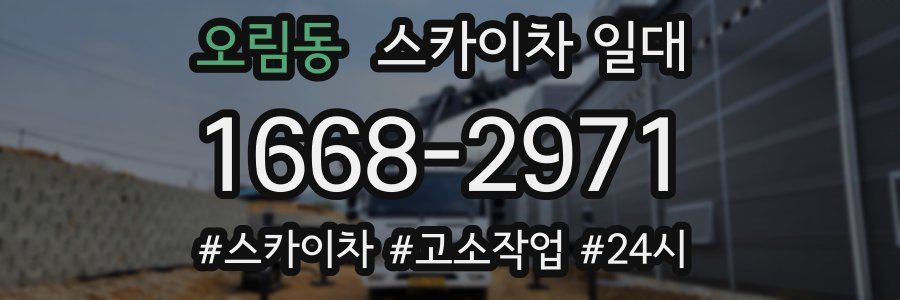 오림동 스카이차 일대