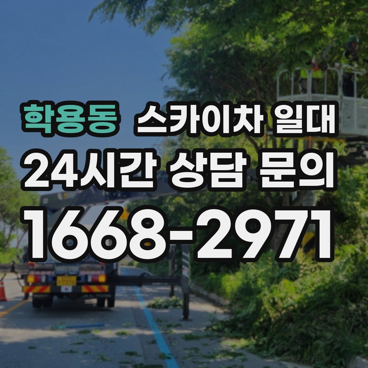 학용동 스카이차 일대