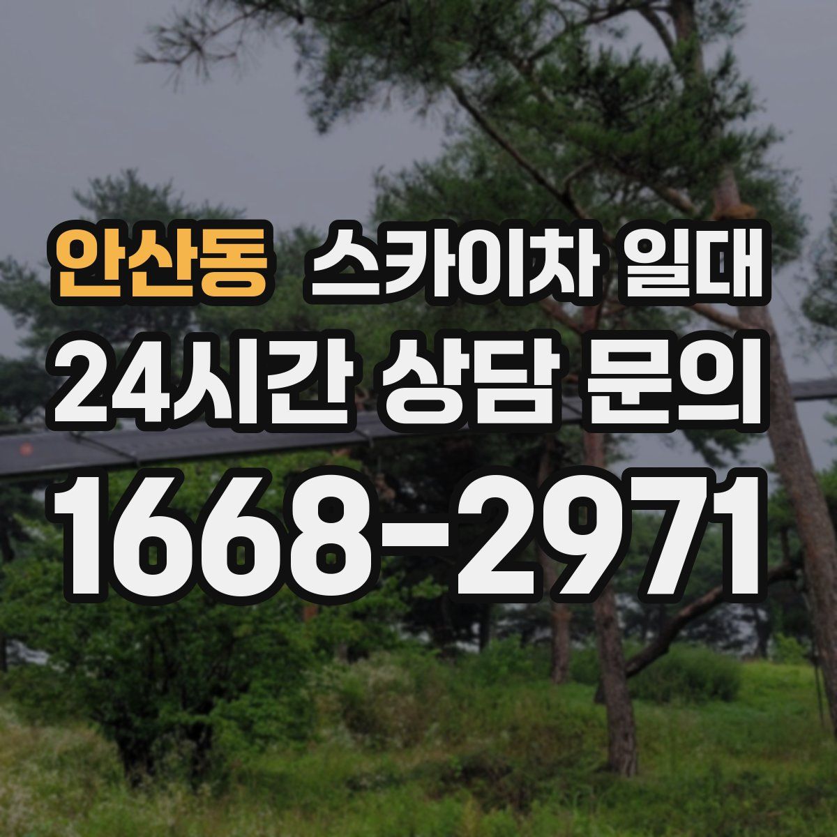 안산동 스카이차 일대