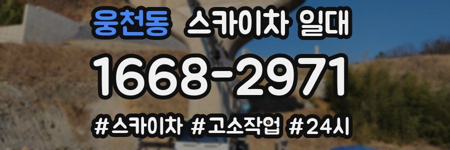 웅천동 스카이차 일대