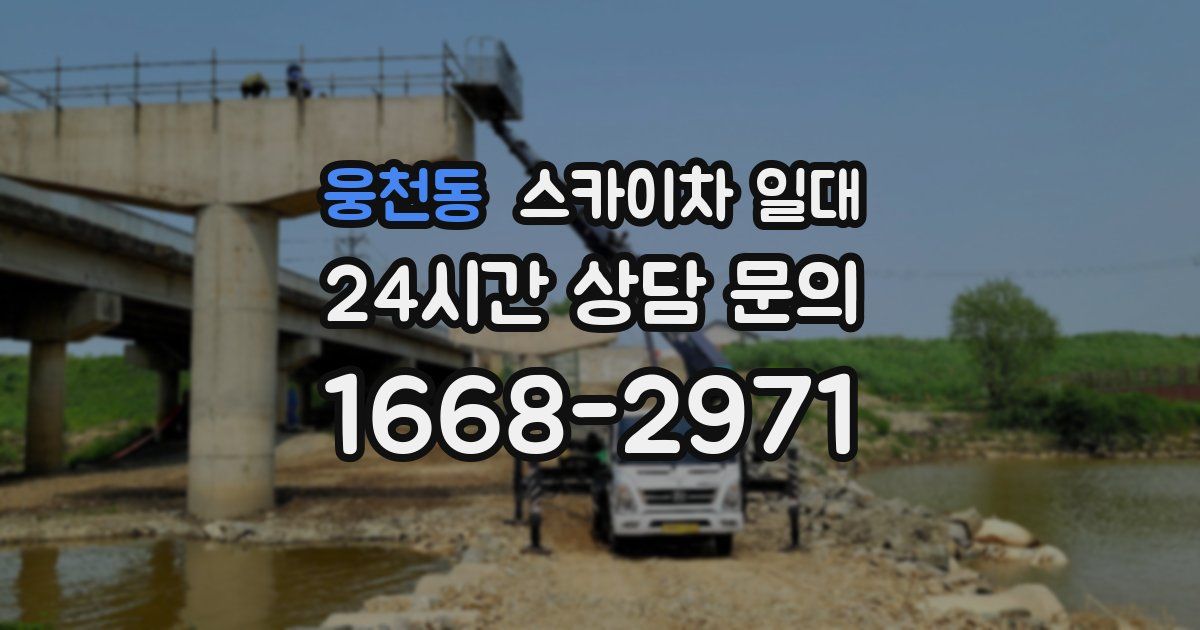 웅천동 스카이차 일대