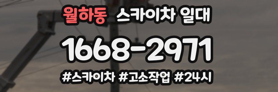 월하동 스카이차 일대