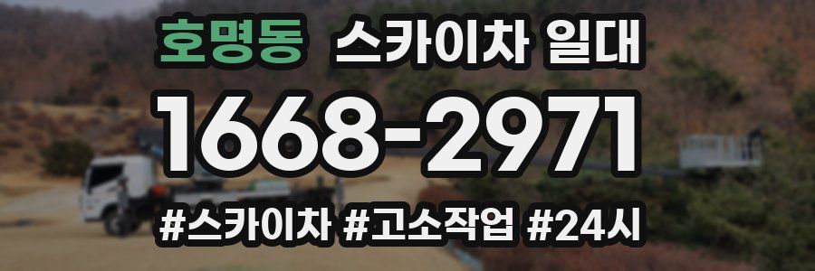호명동 스카이차 일대