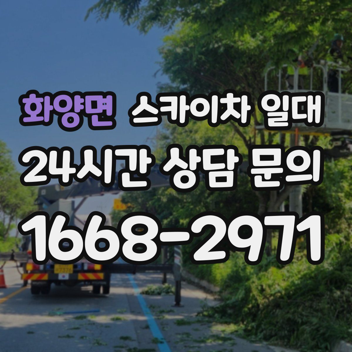 화양면 스카이차 일대
