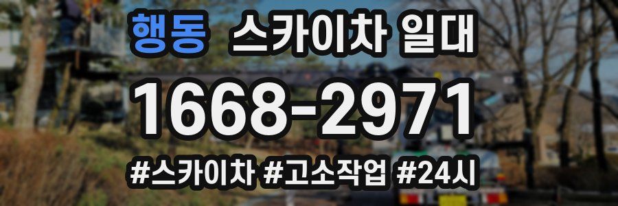 행동 스카이차 일대
