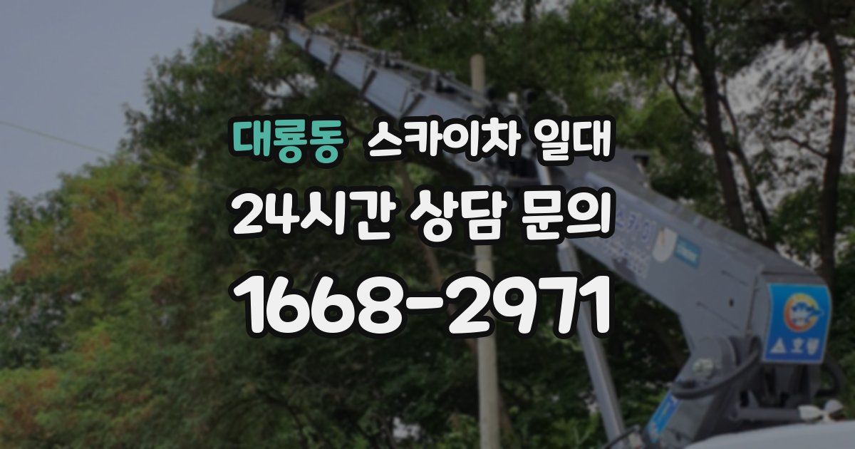 대룡동 스카이차 일대