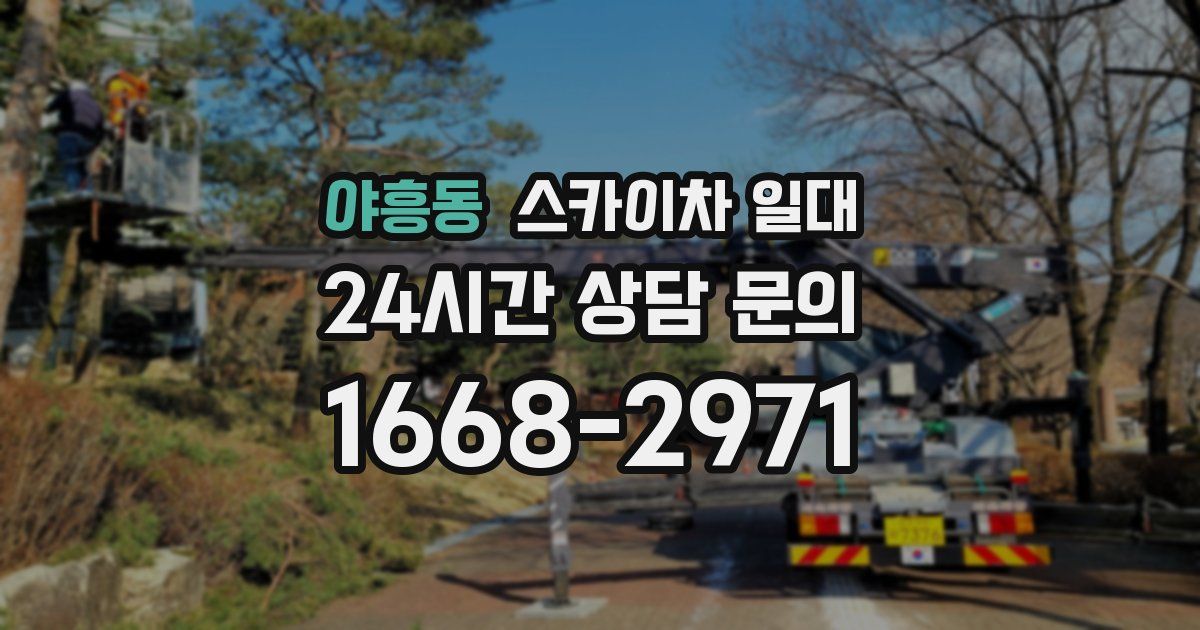 야흥동 스카이차 일대
