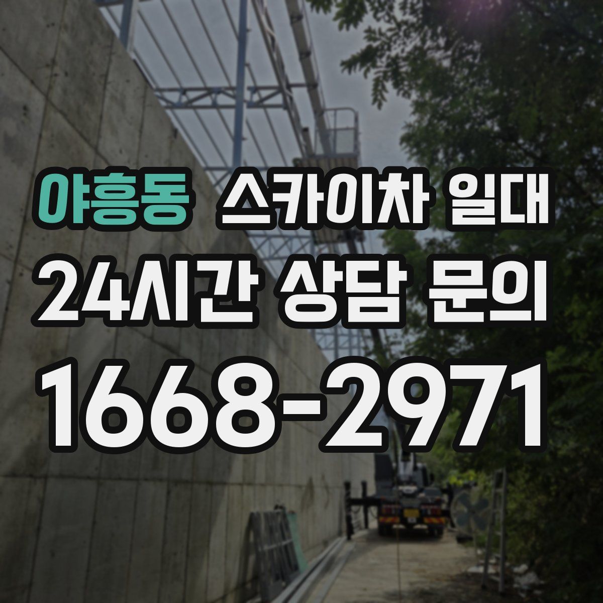 야흥동 스카이차 일대