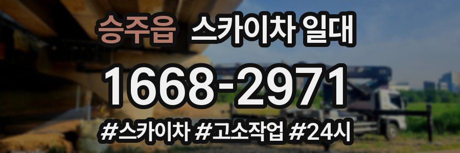 승주읍 스카이차 일대