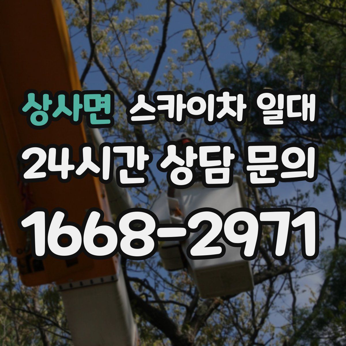 상사면 스카이차 일대