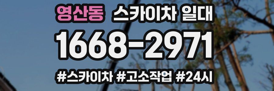 영산동 스카이차 일대
