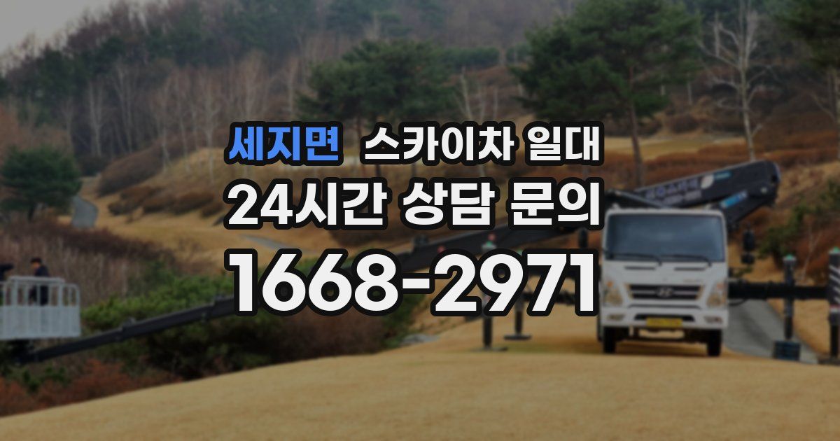 세지면 스카이차 일대