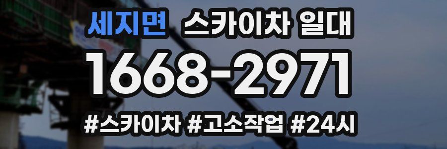 세지면 스카이차 일대