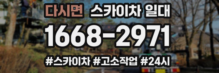 다시면 스카이차 일대