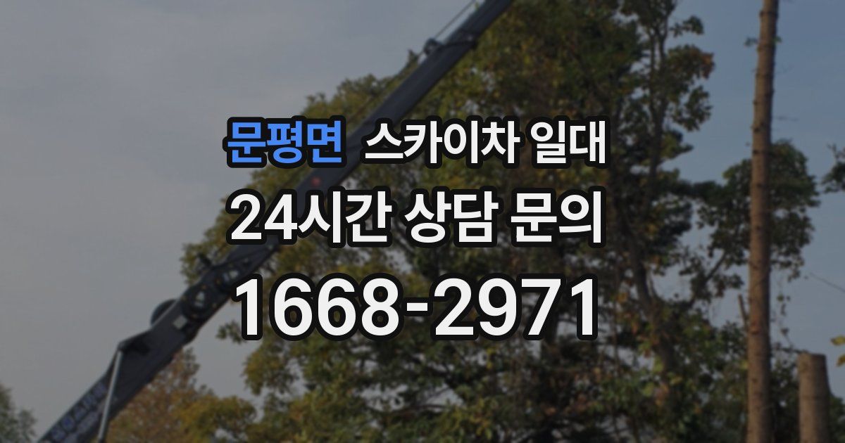 문평면 스카이차 일대