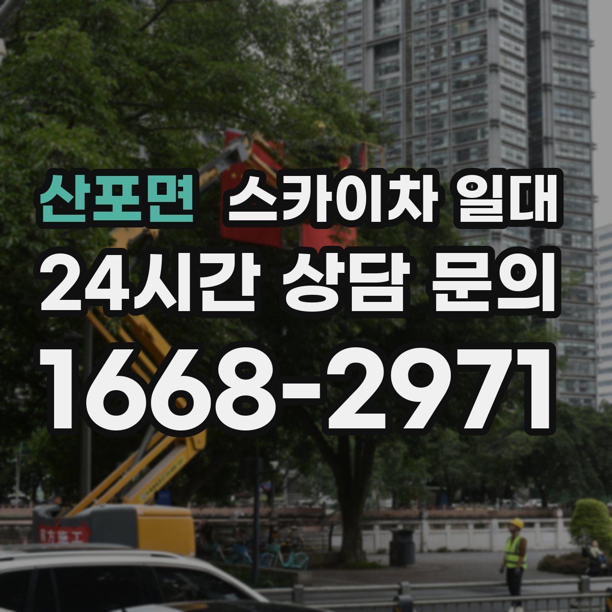 산포면 스카이차 일대