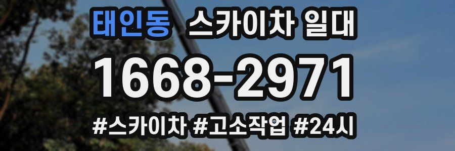 태인동 스카이차 일대