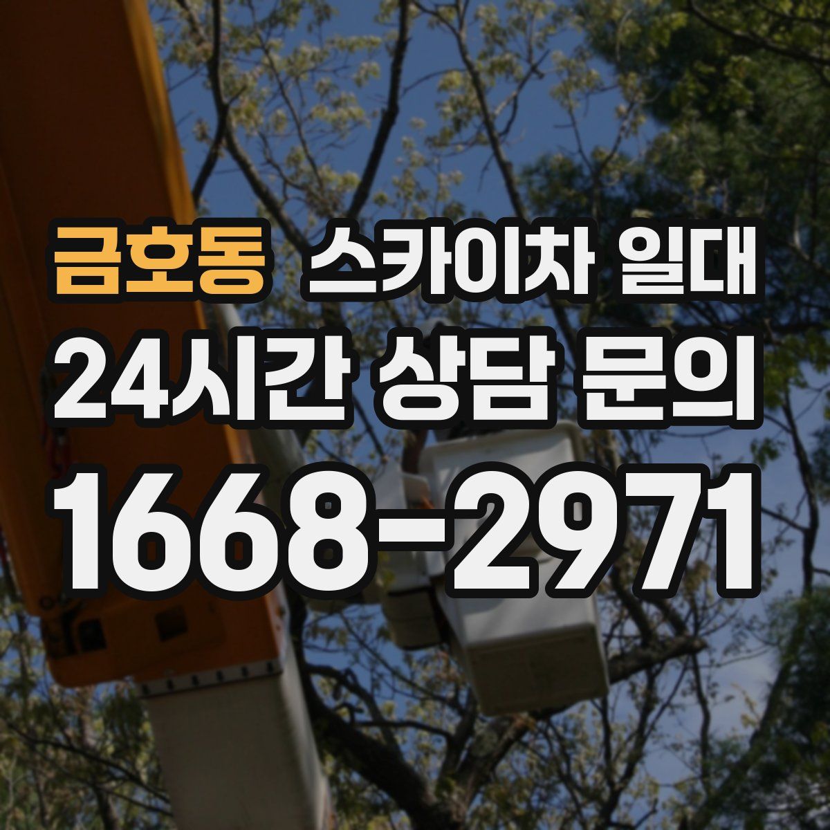 금호동 스카이차 일대