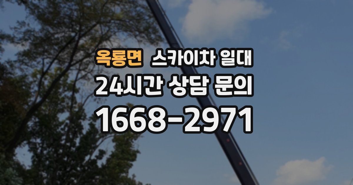옥룡면 스카이차 일대