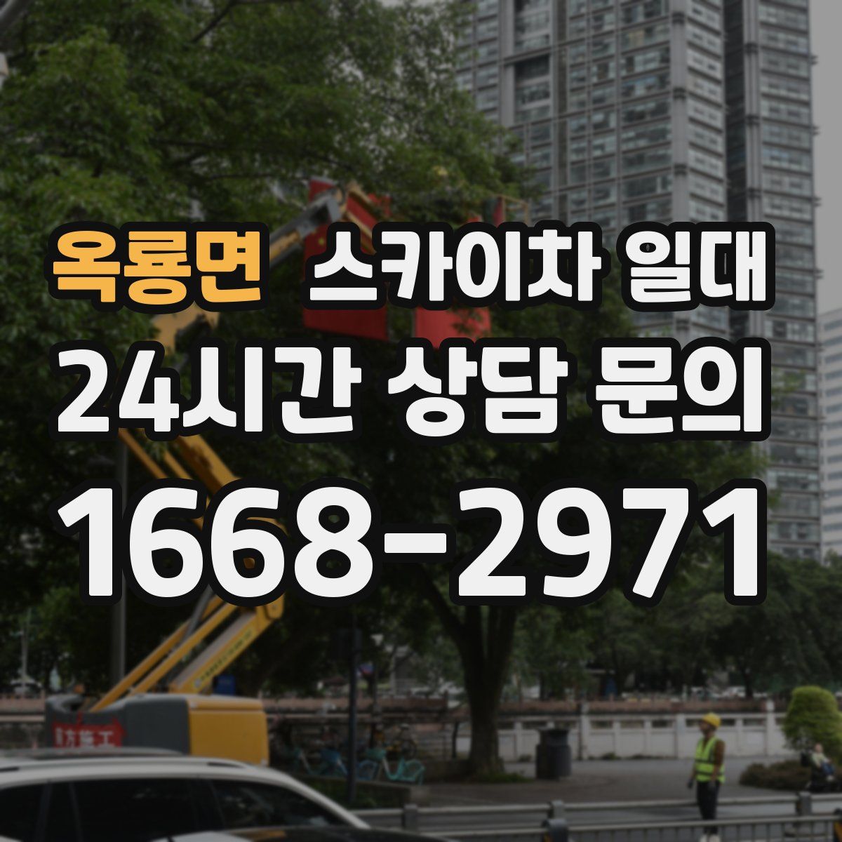 옥룡면 스카이차 일대