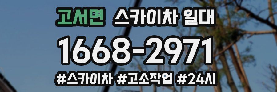 고서면 스카이차 일대