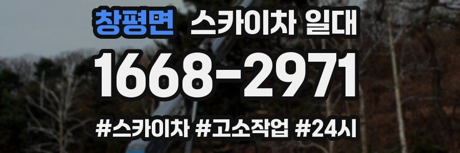 창평면 스카이차 일대