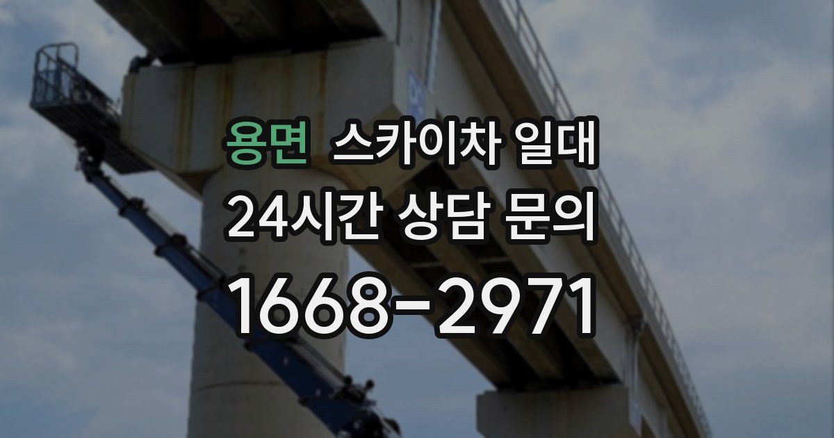 용면 스카이차 일대