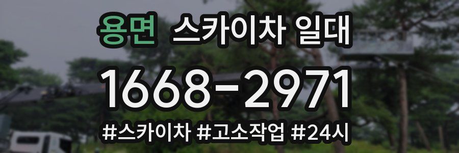 용면 스카이차 일대